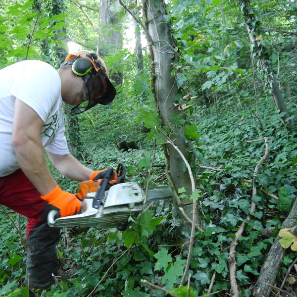 Grundstück wird für die Beräumung zugänglich gemacht